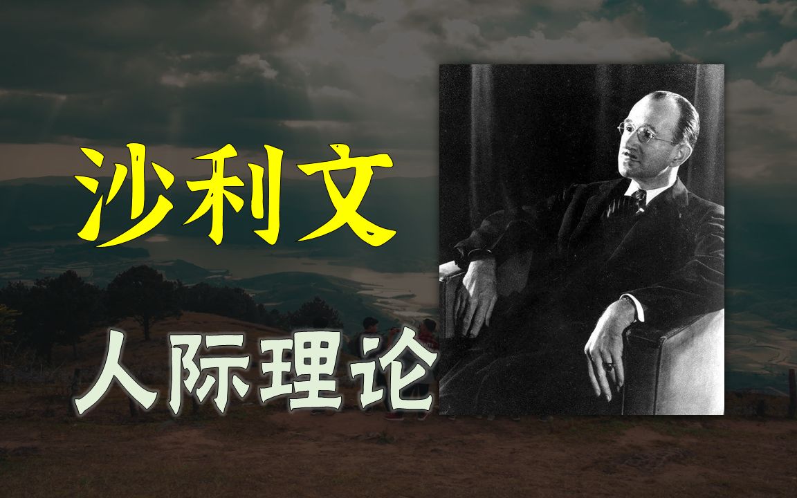 沙利文 人际理论哔哩哔哩bilibili