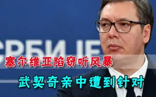 下载视频: 塞尔维亚曝政变丑闻！多方势力牵扯其中，武契奇及家人被窃听1572次