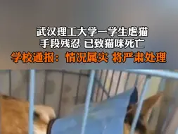 Download Video: 7月19日报道 #武汉理工大学一学生虐猫 手段残忍 已致猫咪死亡 学校通报：情况属实 将严肃处理。