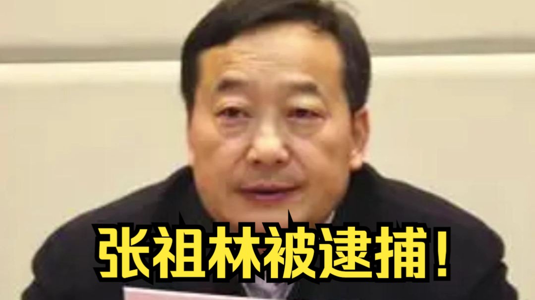 云南原副省长张祖林被逮捕哔哩哔哩bilibili