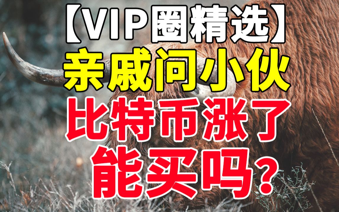 【VIP圈精选】亲戚朋友问你比特币涨了能不能买,你应该这么回答!哔哩哔哩bilibili