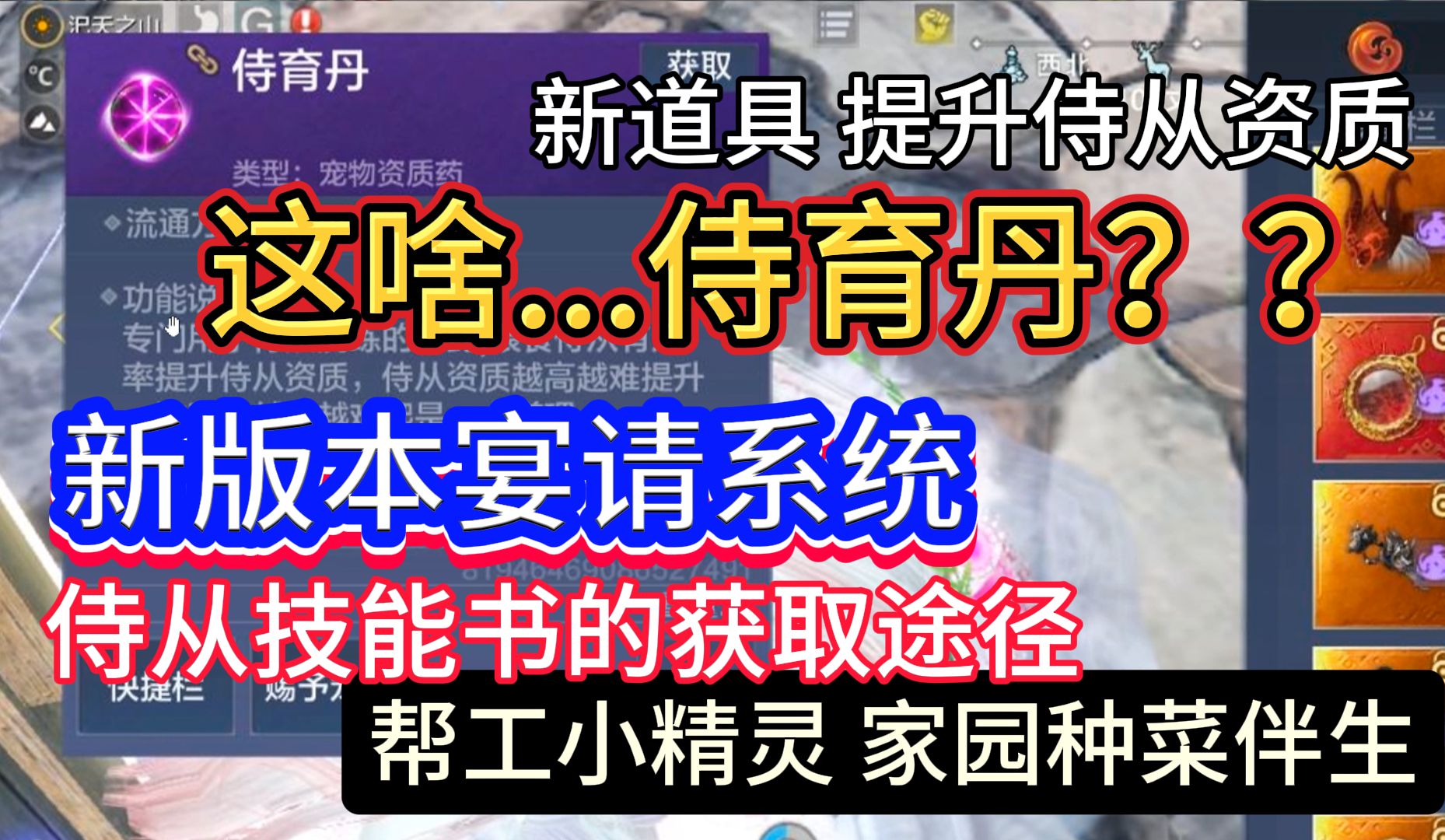 这啥...侍育丹?新道具提升侍从资质 新版本【宴请系统】侍从技能书的获取途径 帮工小精灵家园种菜伴生手机游戏热门视频