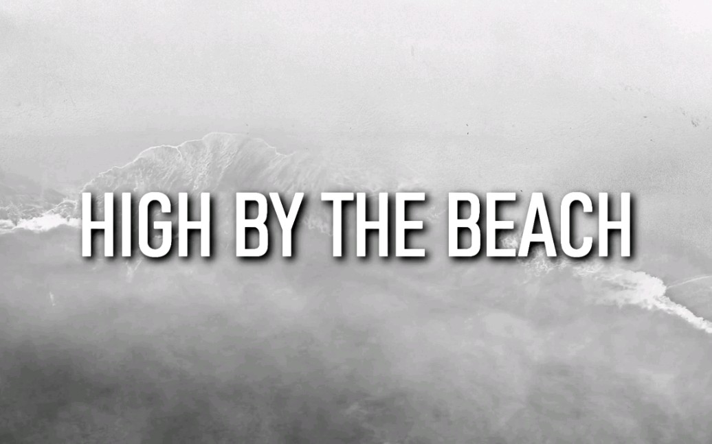 [图]重制Lana Del Rey - High By The Beach [The NFR TOUR