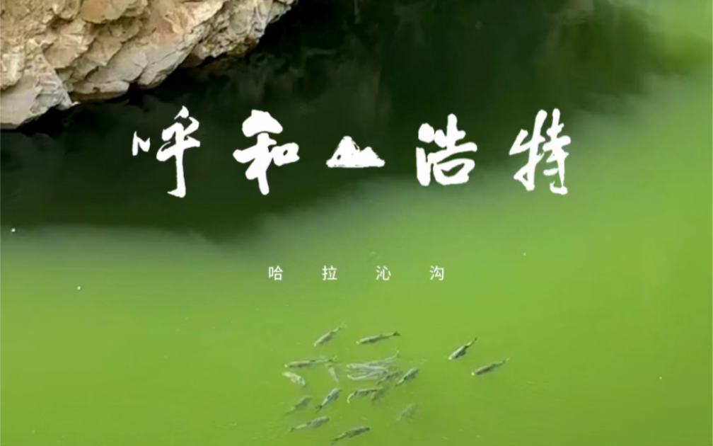 呼和浩特近郊宝藏风景——哈拉沁沟哔哩哔哩bilibili