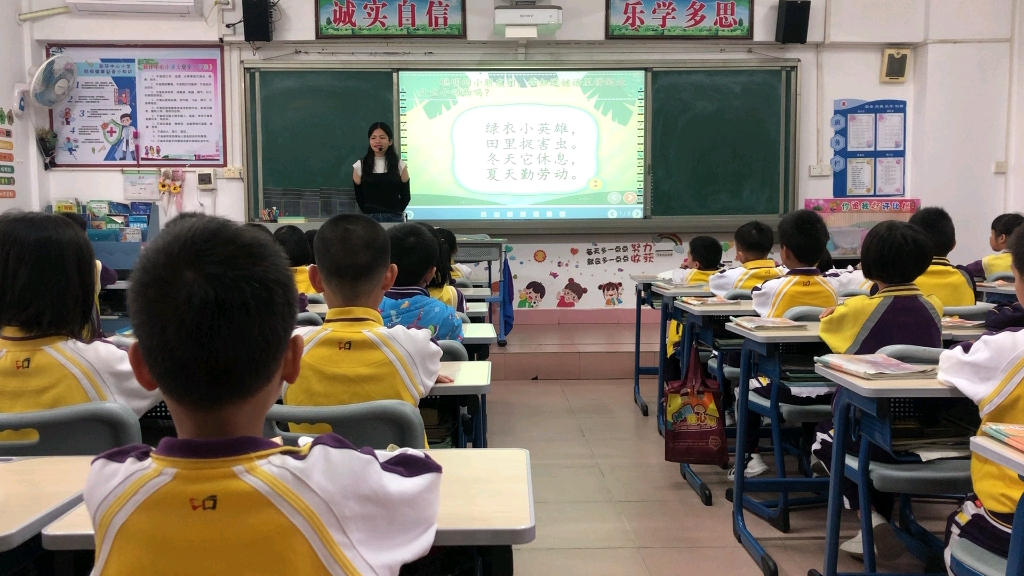 【小学语文】《小青蛙》教学片段哔哩哔哩bilibili