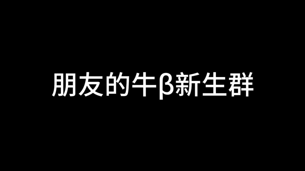 [图]朋友的新生群（有b哥）