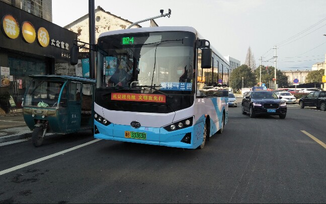 4][兰者本清雅,田畈偶可寻] 宁海812-2路梅林车站62丁家岙(绕行五松