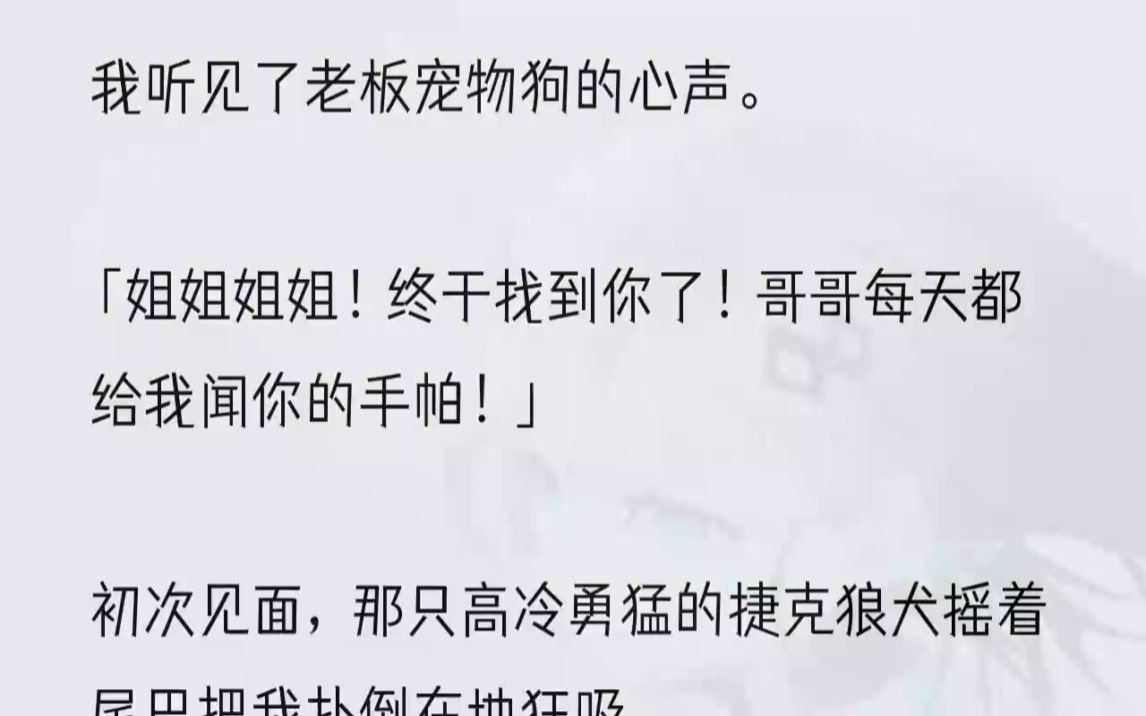 [图]（全文完整版）可几天后我就听见了一只宠物狗的心声。那是老板的狗。2公司大老板时淮朝养了一只捷克狼犬。宠物随主人，那只狗狗和他一样高冷范十足。时淮朝为数不...