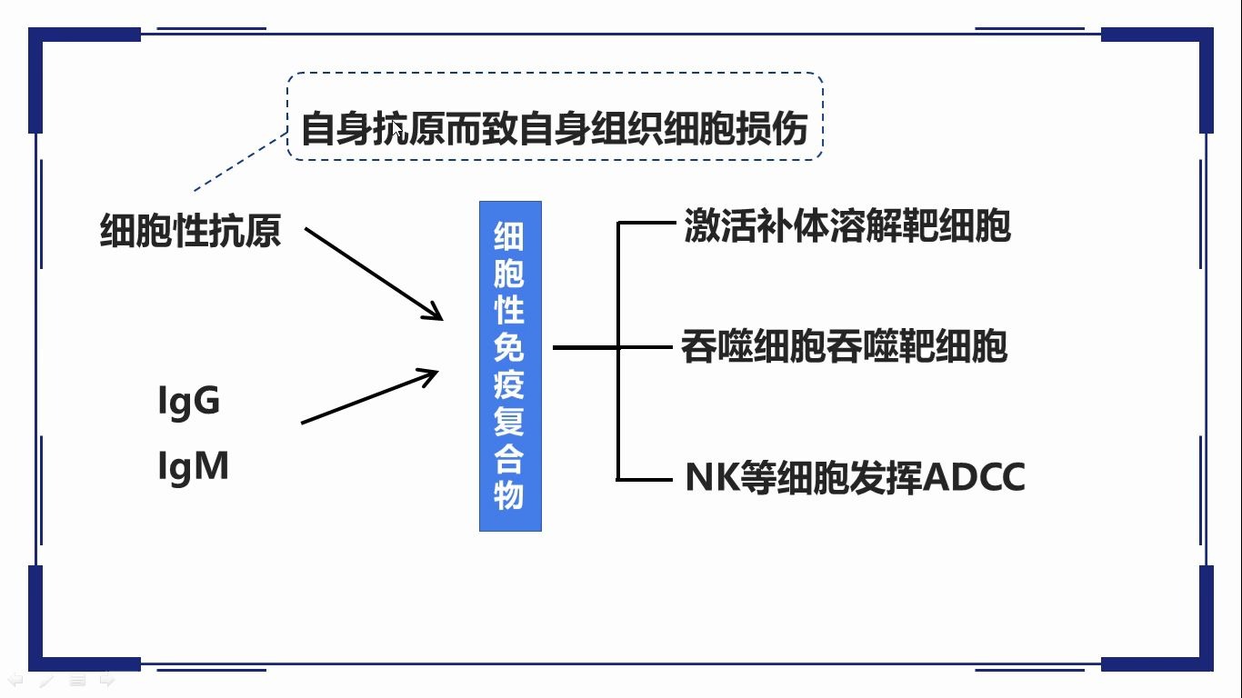 II型超敏反应机制及常见疾病哔哩哔哩bilibili