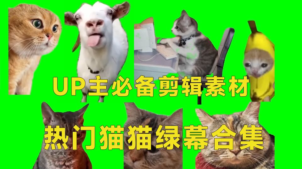 UP主必备!热门绿幕视频素材,180套猫猫meme动态绿幕合集包,包含背景图、声音BGM以及使用教程哔哩哔哩bilibili