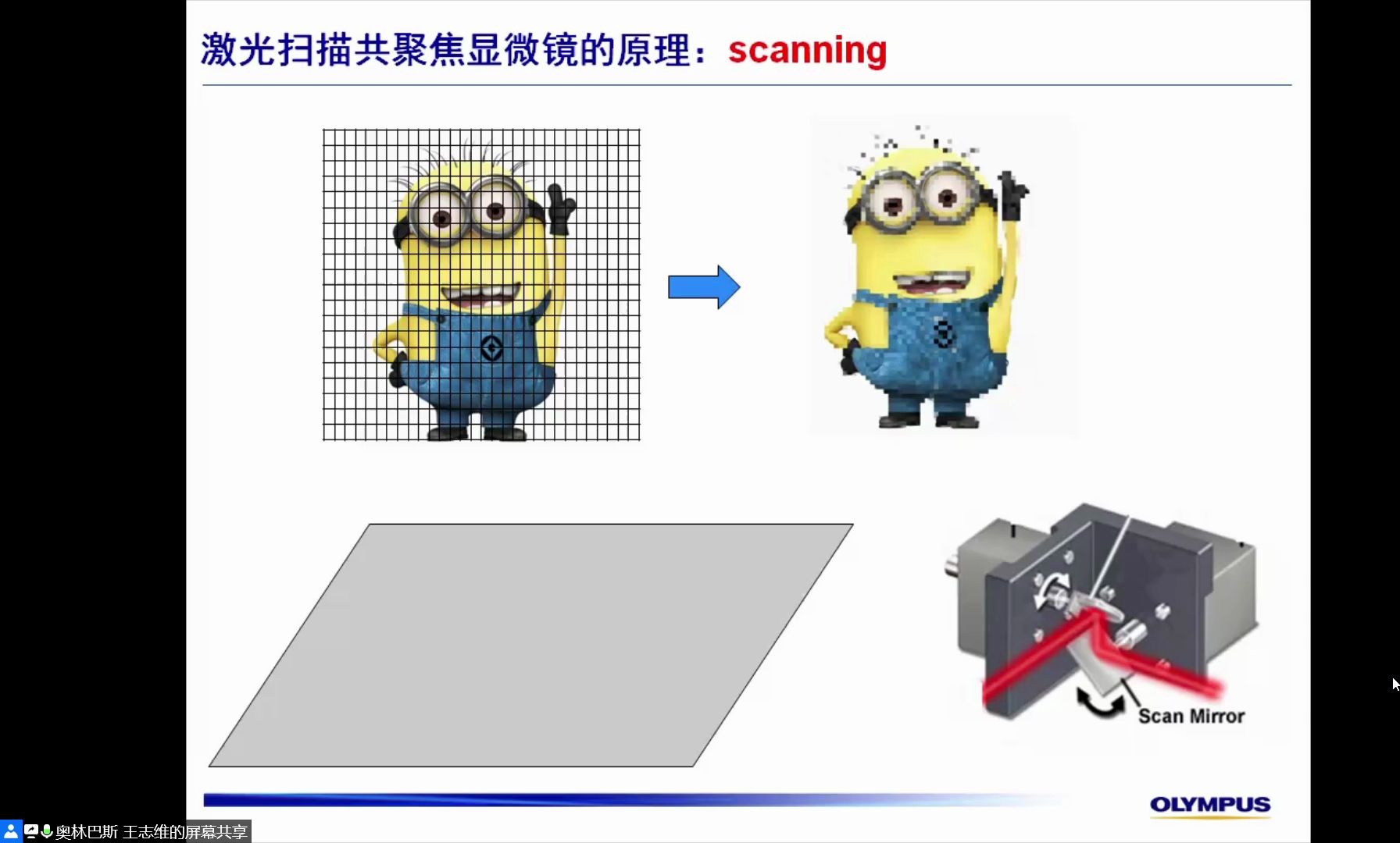 双光子显微镜原理及应用实例哔哩哔哩bilibili