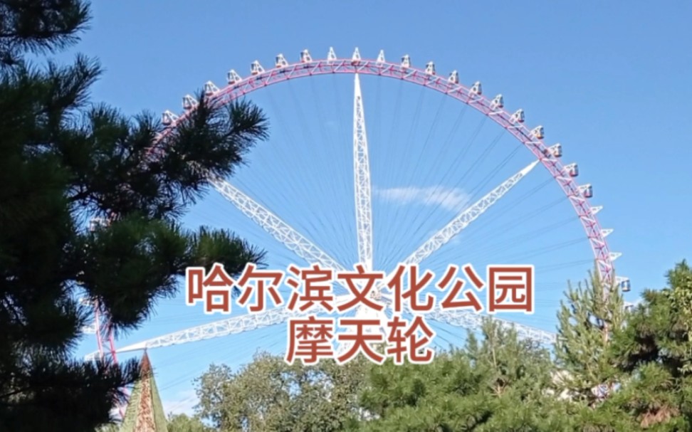 哈尔滨文化公园摩天轮