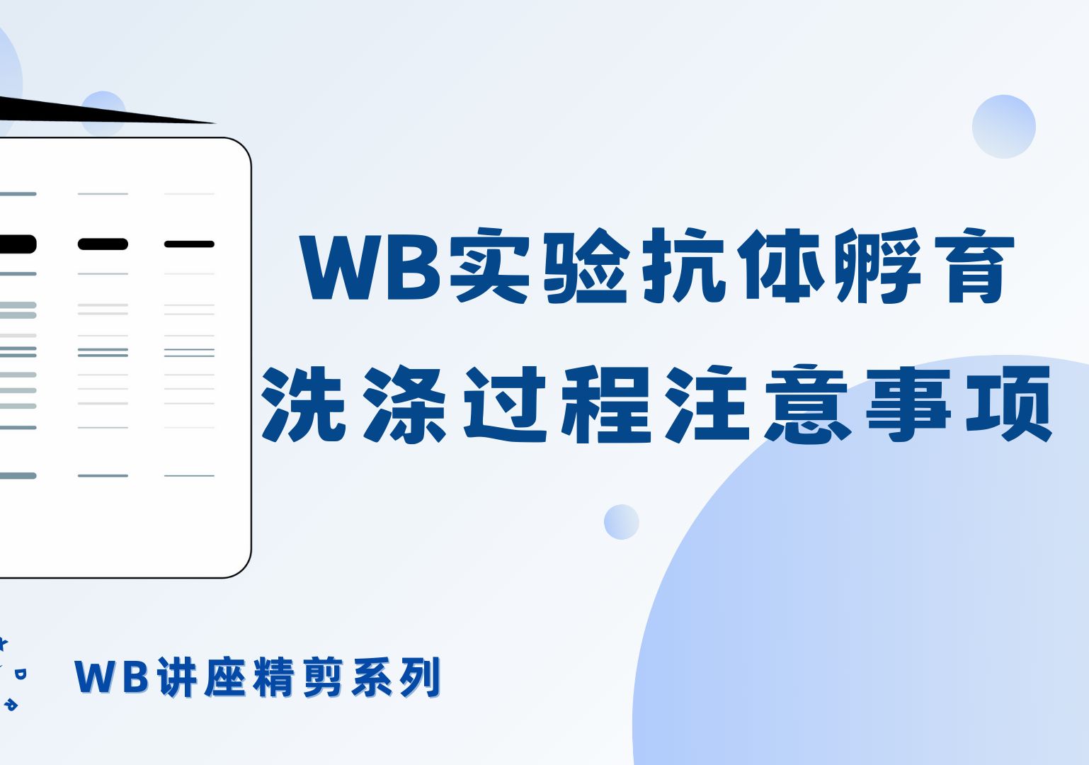 【WB讲座CUT】WB实验抗体孵育洗涤过程的注意事项哔哩哔哩bilibili