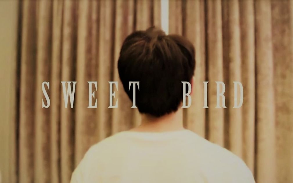 【昊凯】Sweet Bird哔哩哔哩bilibili