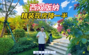 Télécharger la video: 西双版纳又一个开发商扛不住了精装现房降一半！