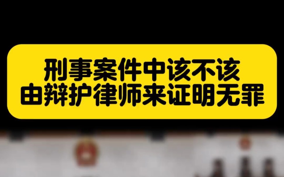 刑事律师的作品】刑事案件该不该由辩护律师来证明无罪 这是姚振宇律师...哔哩哔哩bilibili