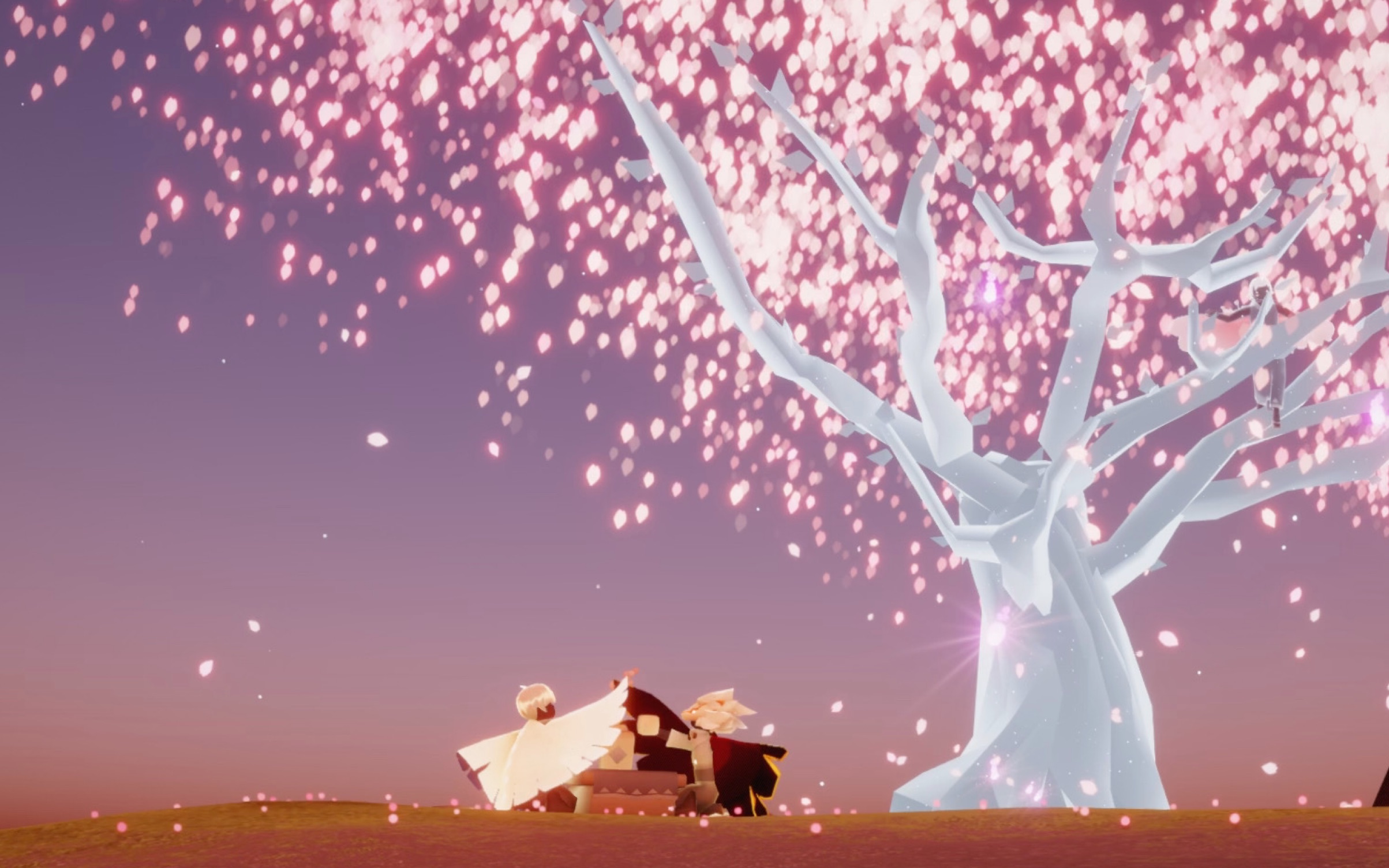 【光遇】花开花落春风前,又是一年等君归