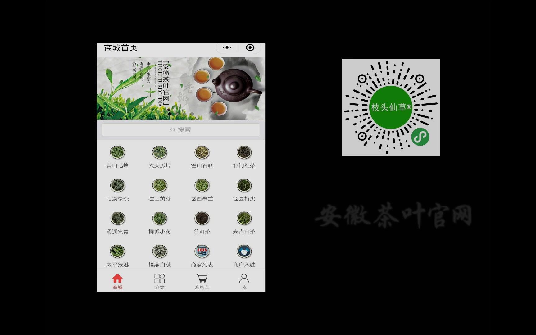安徽茶叶官网小程序哔哩哔哩bilibili