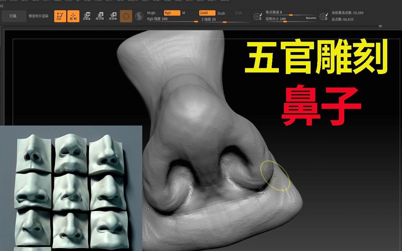 zbrush教程 鼻子雕刻教程哔哩哔哩bilibili