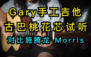 Download Video: 古巴桃花芯背侧的吉他有什么特点？Gary手工古巴桃花试听对比。如此干净的音色又是一匹黑马！