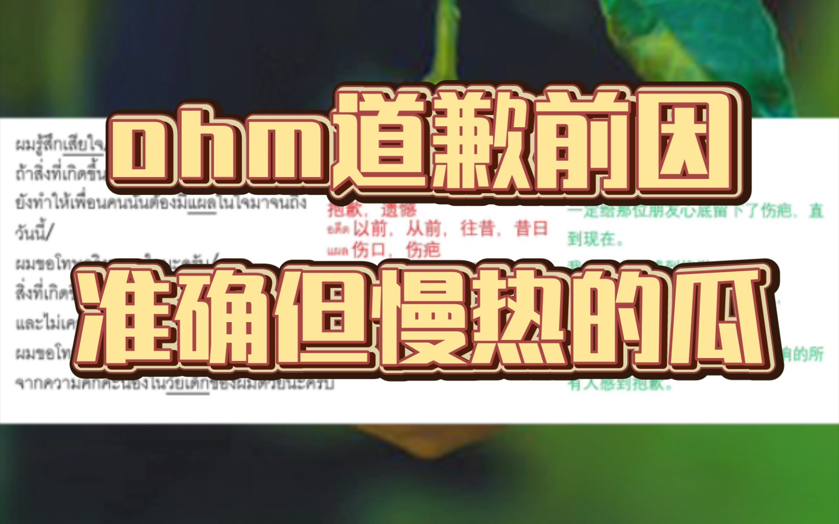 ohm道歉前因(1月3日起因)——熟得慢但保真的准确瓜.来自自个儿的泰语翻译.哔哩哔哩bilibili