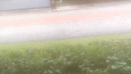 [图]太阳下的雨