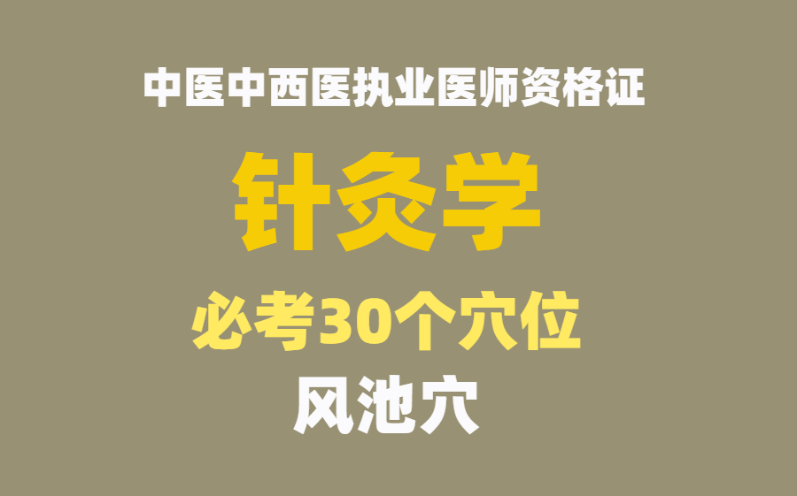 针灸学必考30个穴位风池穴哔哩哔哩bilibili