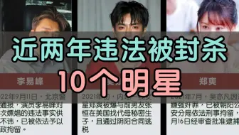 近两年违法被封杀的10个明星