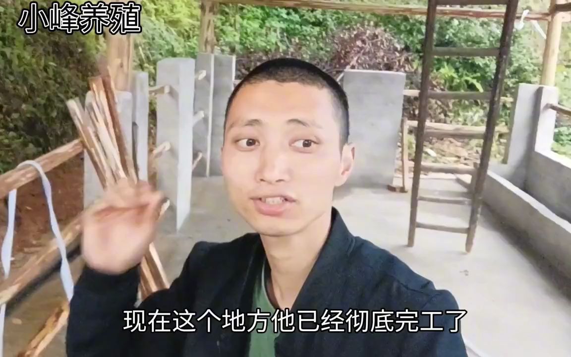 打工不如养殖农村养牛建牛圈需要多少钱14000建80平方贵吗