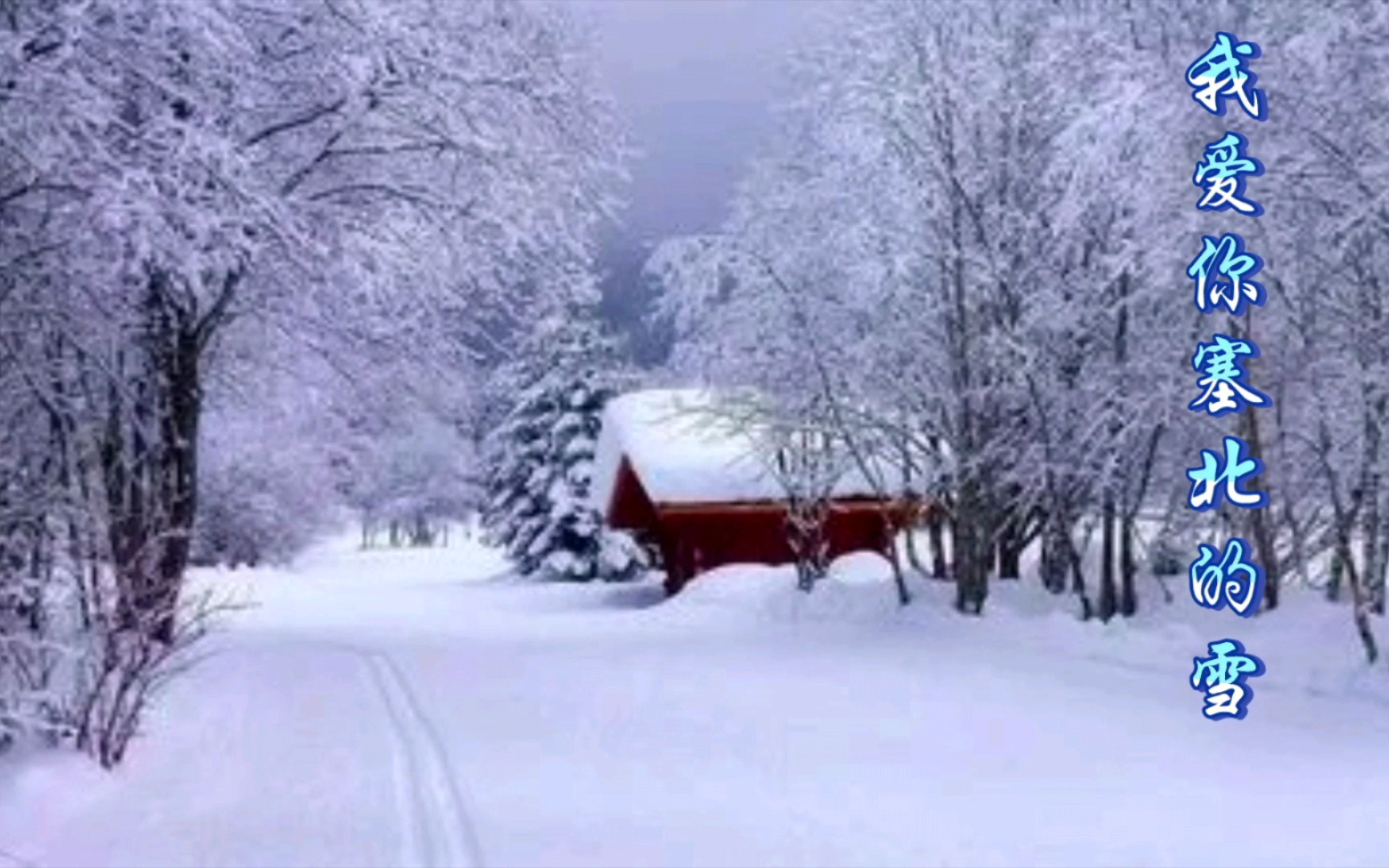 [图]《我爱你塞北的雪》简谱版