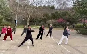 Descargar video: 太极观真同学会南京分会活动