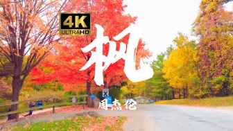 Download Video: 【4K 无损音质】 周杰伦《枫》“缓缓飘落的枫叶像思念，为何挽回要赶在冬天来之前”