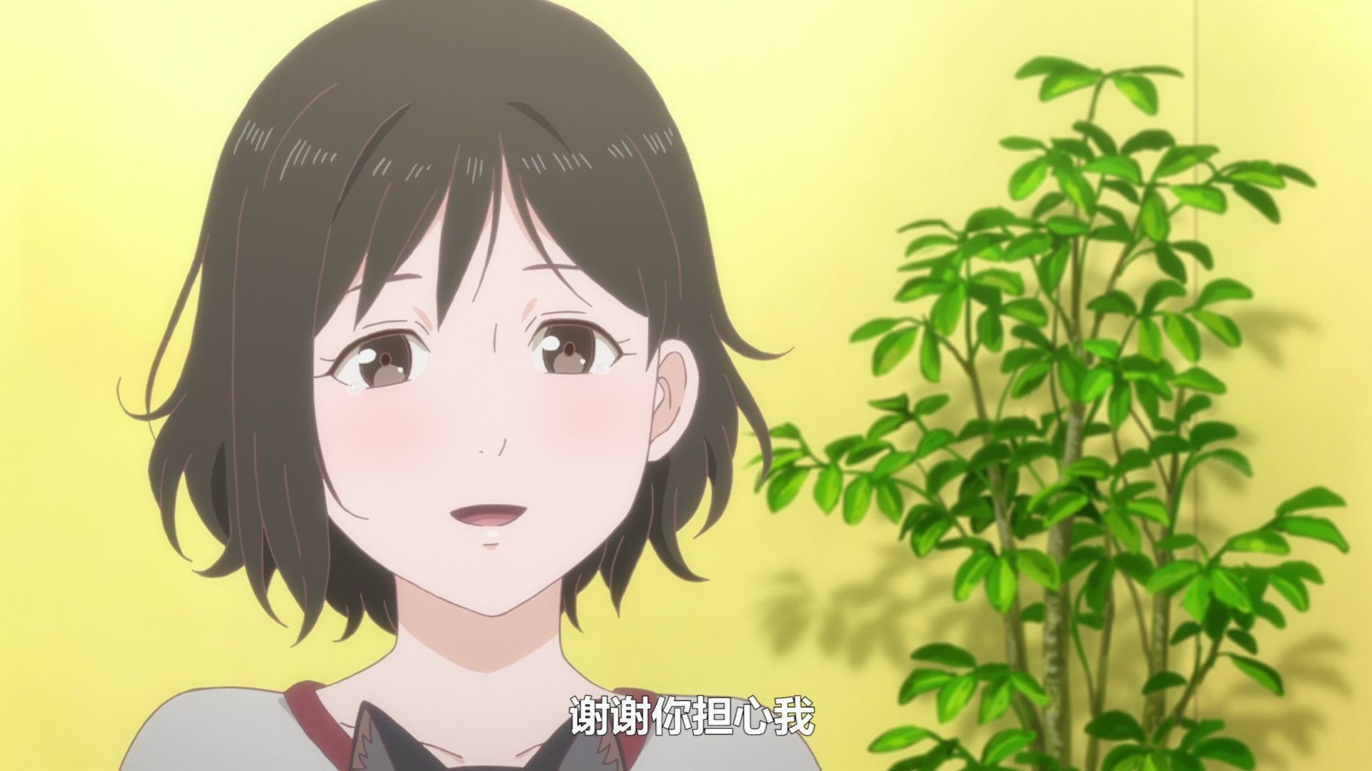 《新海诚》她与她的猫 唯美安静治愈系