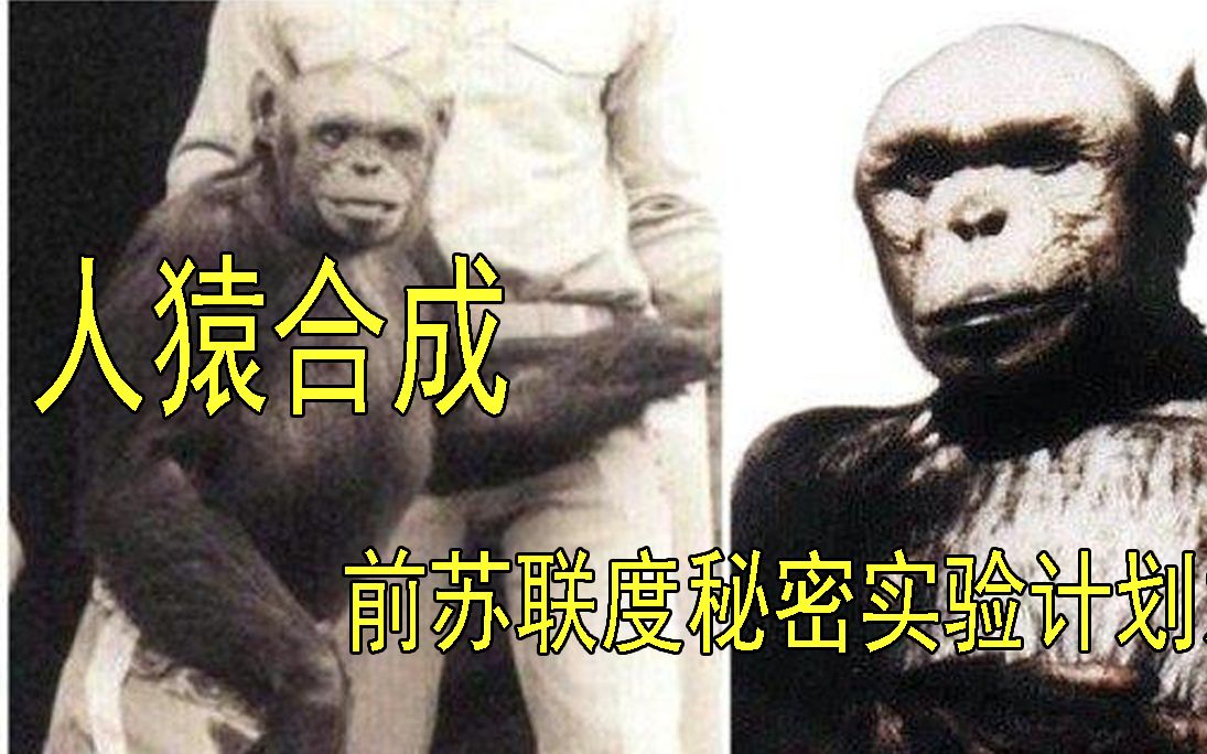 人猿合成人猿合成前苏联一位有一位科学家,曾经做过一个奇迹般的实验 伊利亚 伊万诺夫 前苏联著名的生物学家,人工授精 动物杂交方面的专家 1870 19...