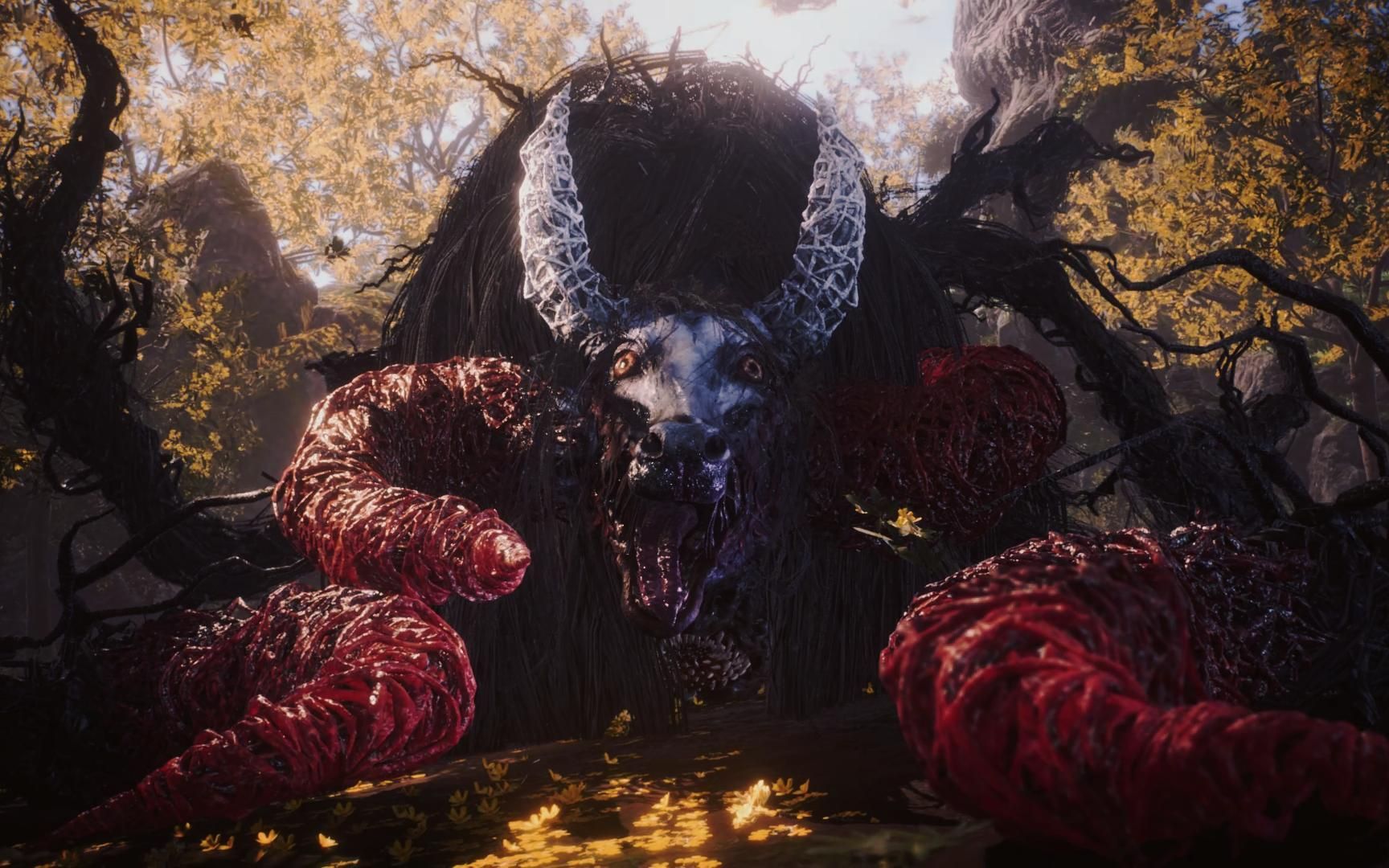 【卧龙苍天陨落】魂新人初战獓因