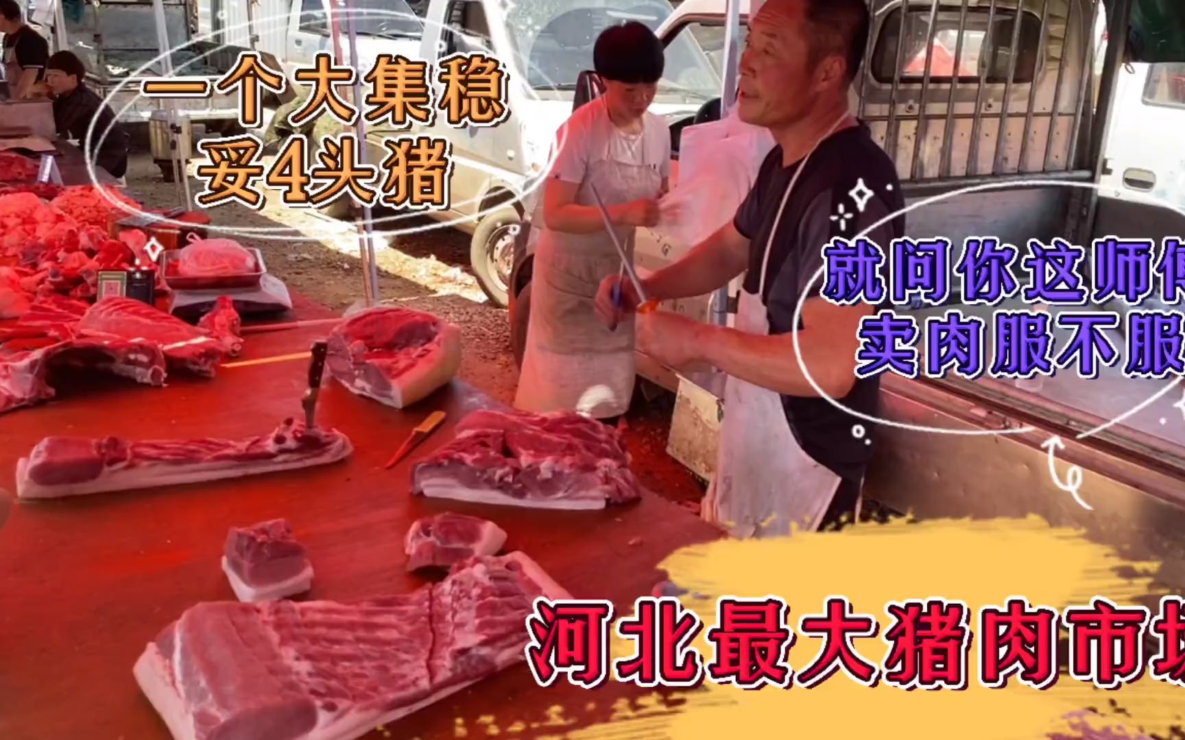 河北最大猪肉市场,1个大集稳妥4头猪,就问这师傅卖肉你服不服?哔哩哔哩bilibili