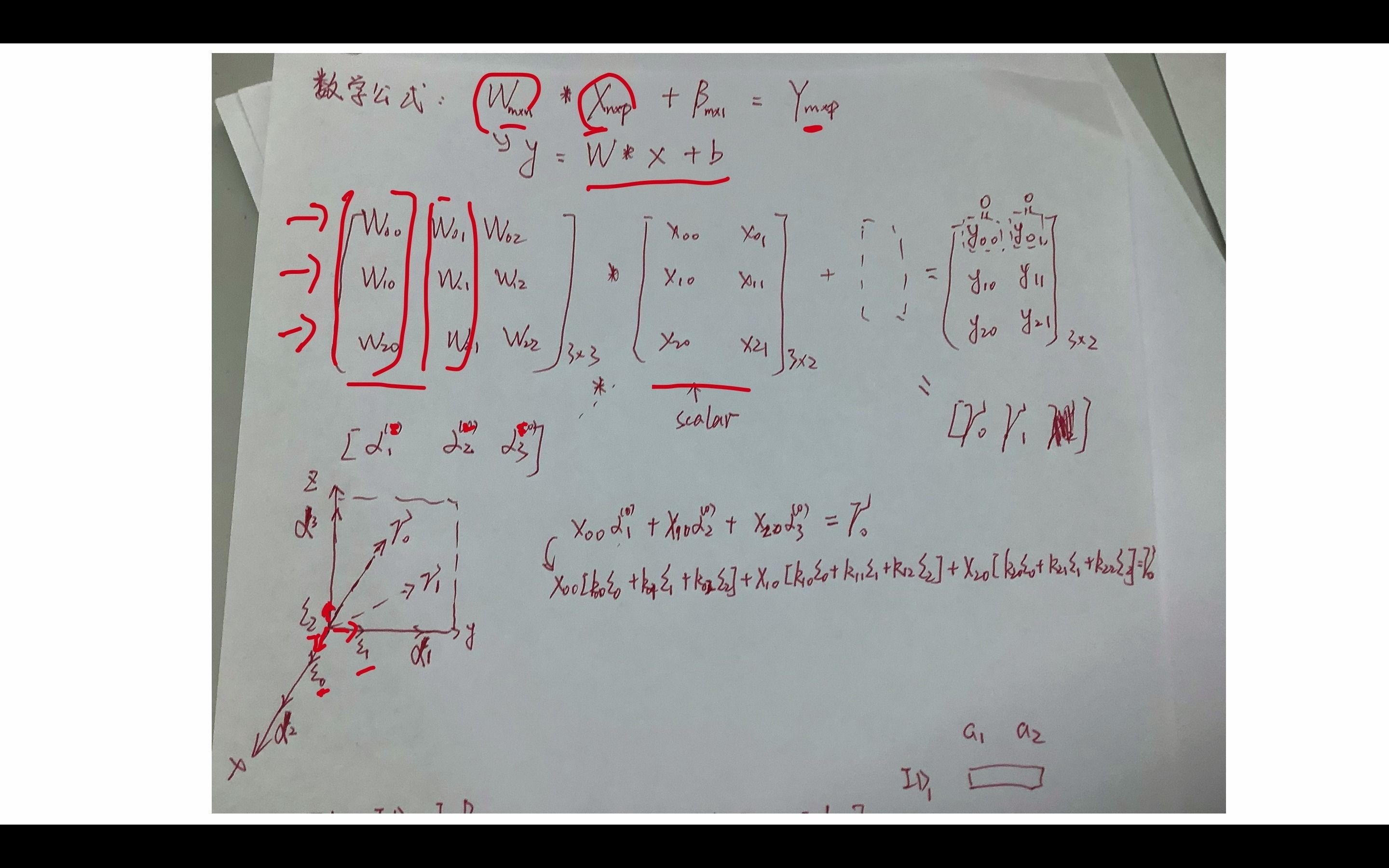 线代解析:代码实现线性变换为何使用matmul(x,w)哔哩哔哩bilibili