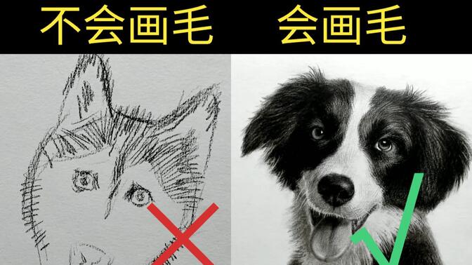 素描动物毛发画法教程图片