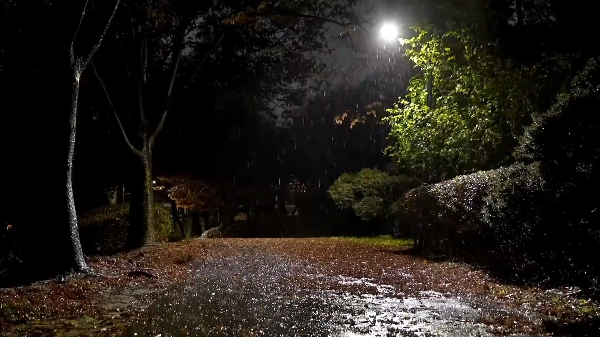 秋夜雨声作伴,舒缓白噪音,轻松告别失眠困局