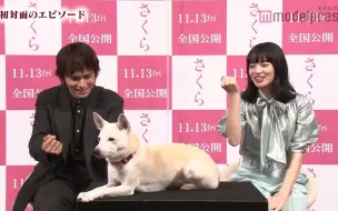 映画 さくら 犬の日特別インタビュー映像 哔哩哔哩 つロ干杯 Bilibili