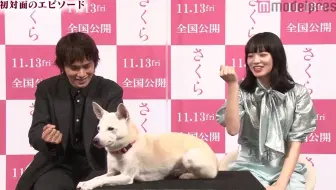 小松菜奈北村匠海电影 樱 发布会 哔哩哔哩 Bilibili