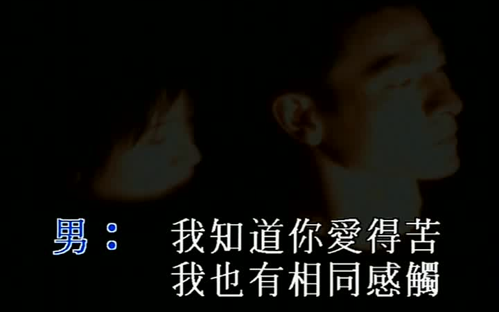 [图]刘德华&梅艳芳.-.別說愛情苦（國）ktv