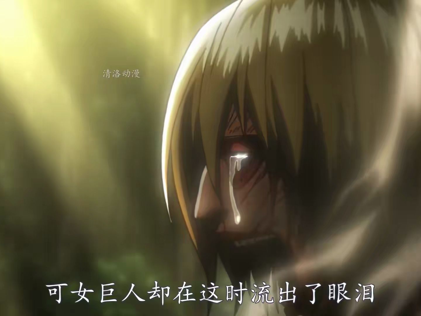 兵长与三笠相互配合,成功从女巨人手中救下艾伦