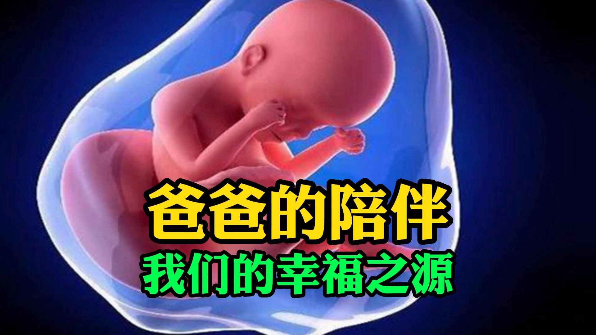 爸爸的陪伴,我们的幸福之哔哩哔哩bilibili