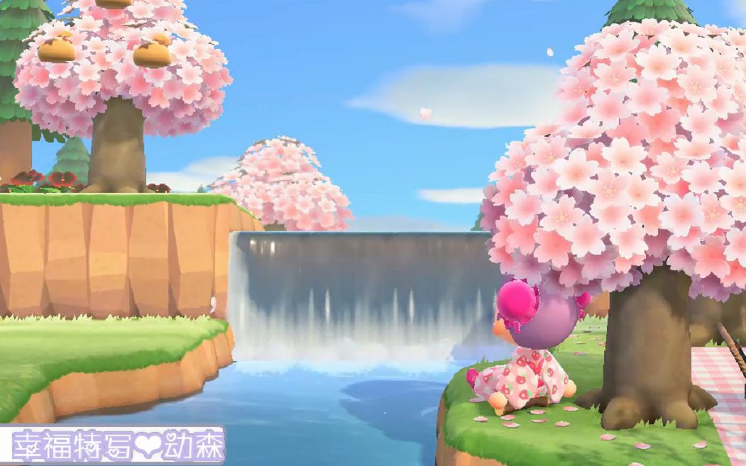 动森幸福特写动森樱花季