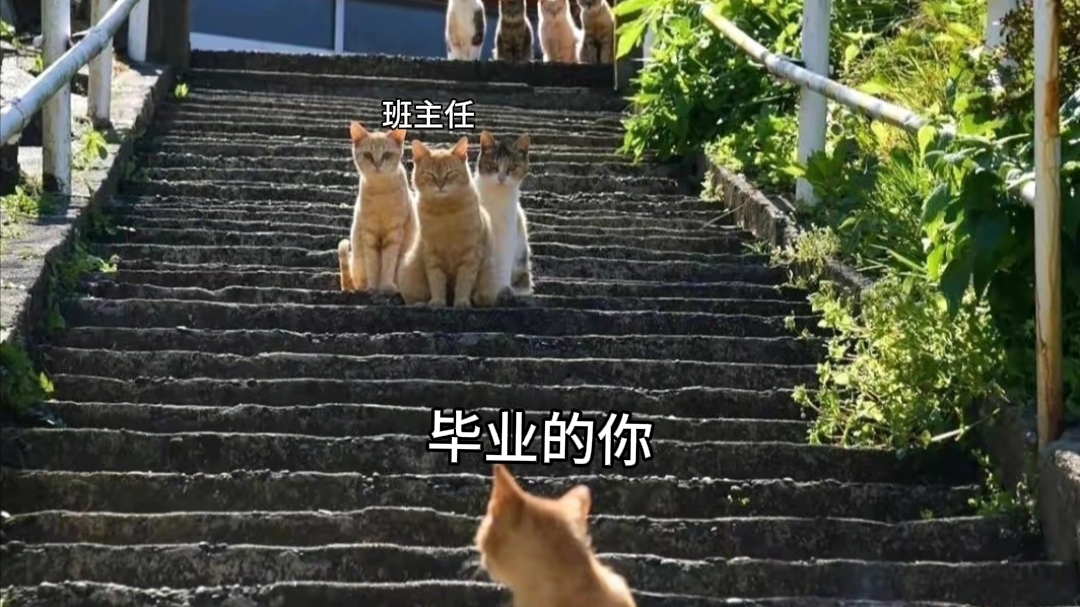 图个乐,想不出个题目!哔哩哔哩bilibili