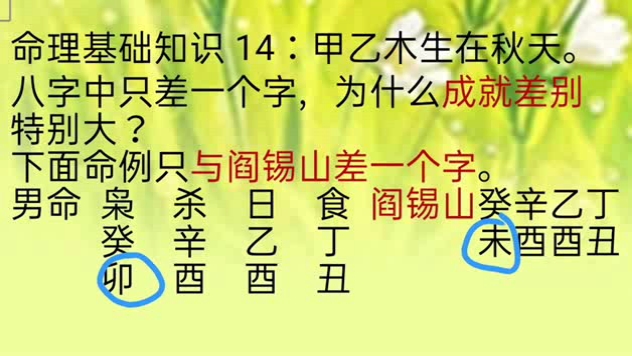 [图]盲派命理基础14：甲乙木生秋天。八字只差一个字，为何成就差别特别大