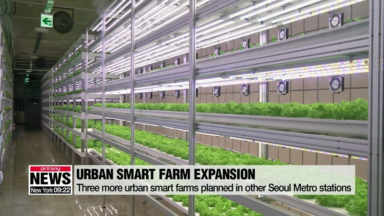 城市智能农场 Urban smart farm starting at Sangdo station哔哩哔哩bilibili