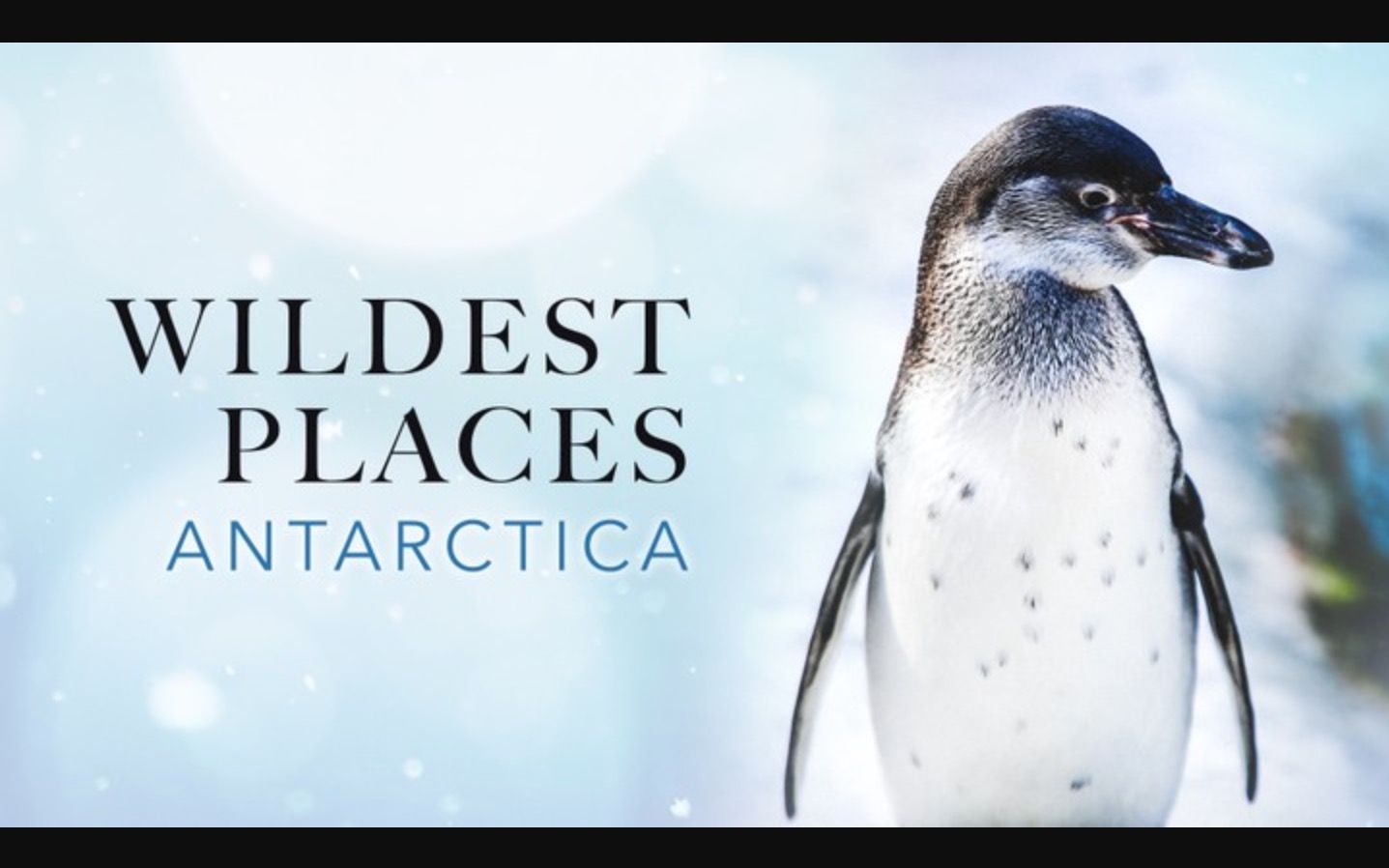 [图]狂野南极 全4集 Wildest Places Antartica