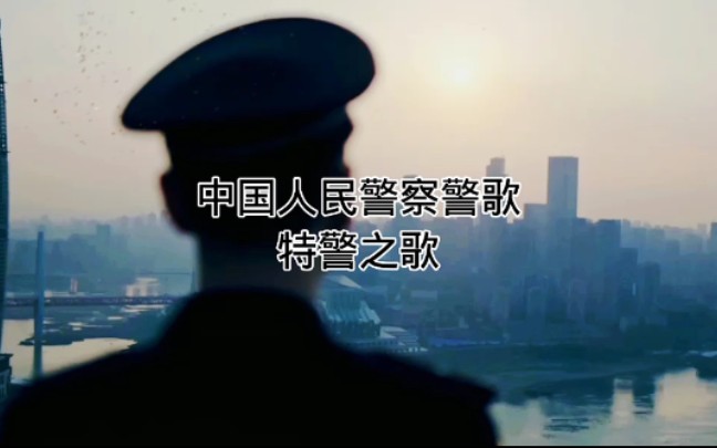 《中国人民警察警歌》《特警之歌》剪辑视频#中国警察#中国特警哔哩哔哩bilibili